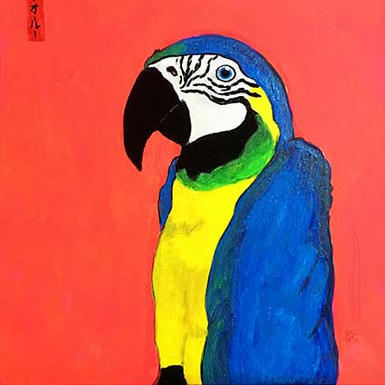 bg macaw